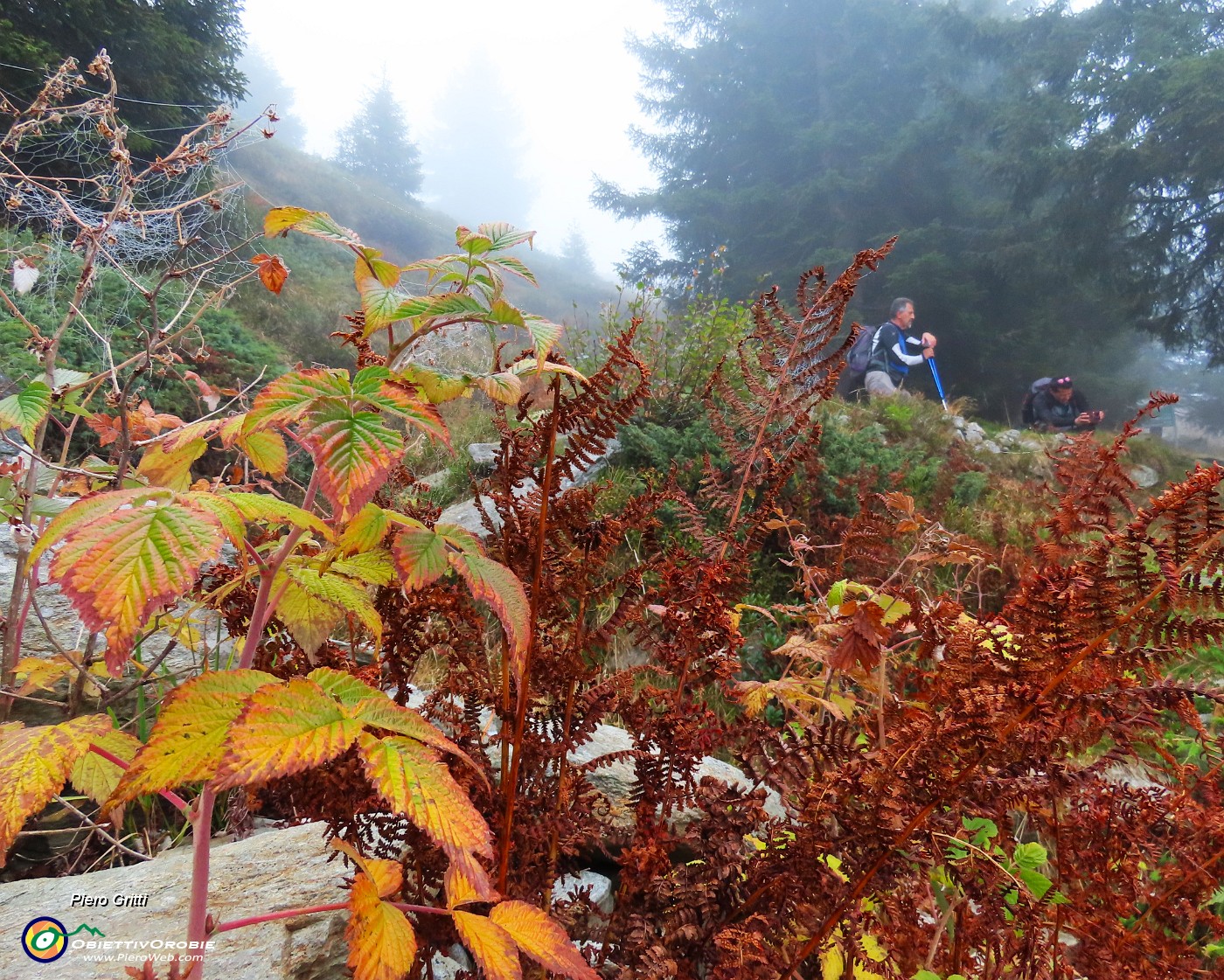 16 Caldi colori autunnali.JPG